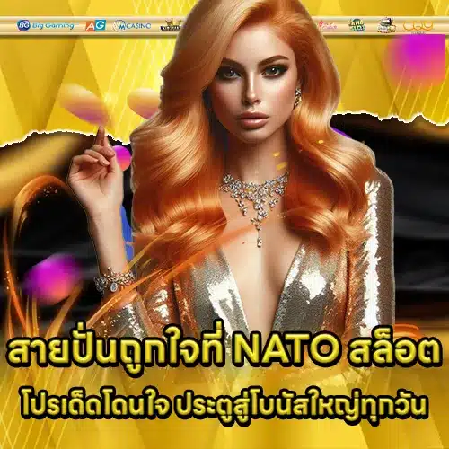 NATO slot (2) NATO slot (2)